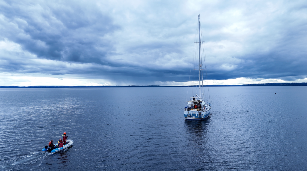 Un equipo de investigadores, durante una expedición en el mar interior de Chiloé, descubrió una preocupante presencia de desechos plásticos. Estos residuos, que muchas veces pasan inadvertidos, podrían estar interactuando con la vida marina en todos sus niveles: desde diminutos microorganismos hasta grandes mamíferos como ballenas y delfines.